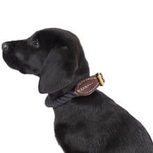 Leather & Cotton Rope Dog Collar